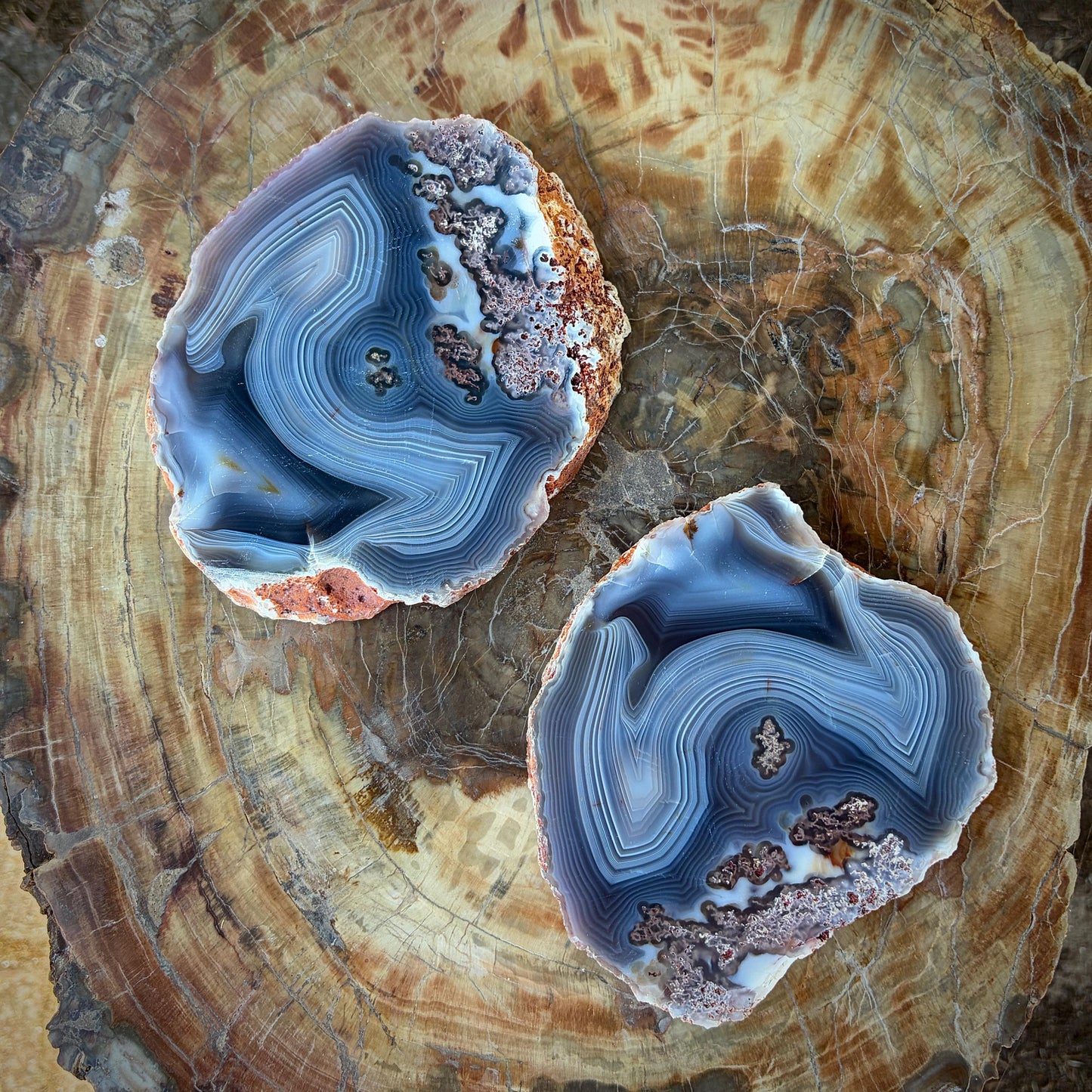 Agate Crystal Slice Set of 2 | Natural Banded  | Crystal Home Decor |  833g #11