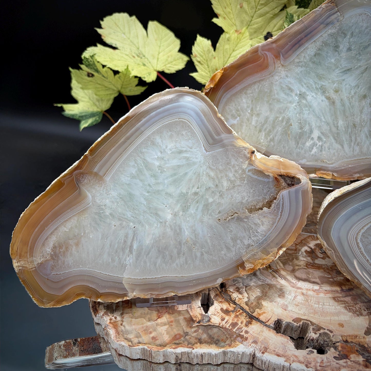 Agate Crystal Slice Set of 3 | Natural Banded  | Crystal Home Decor |  2.3kg #10