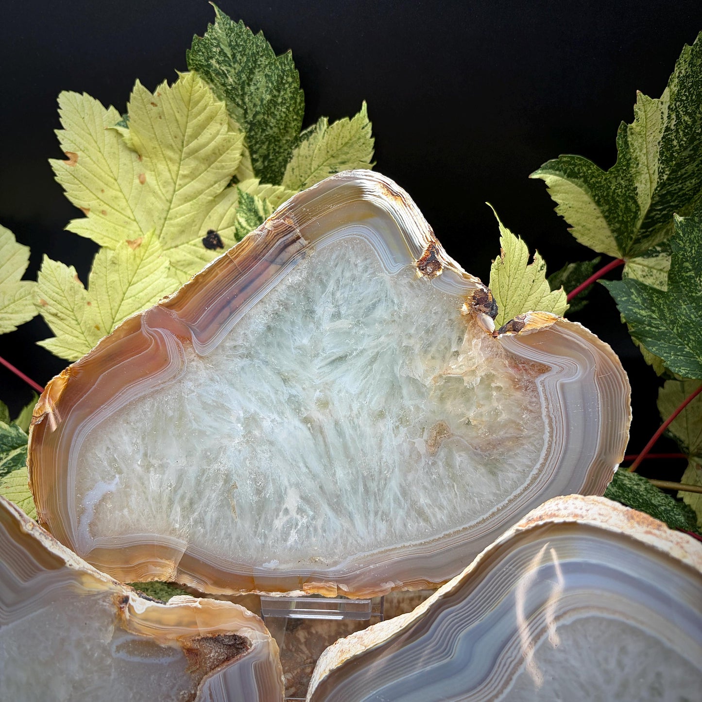 Agate Crystal Slice Set of 3 | Natural Banded  | Crystal Home Decor |  2.3kg #10