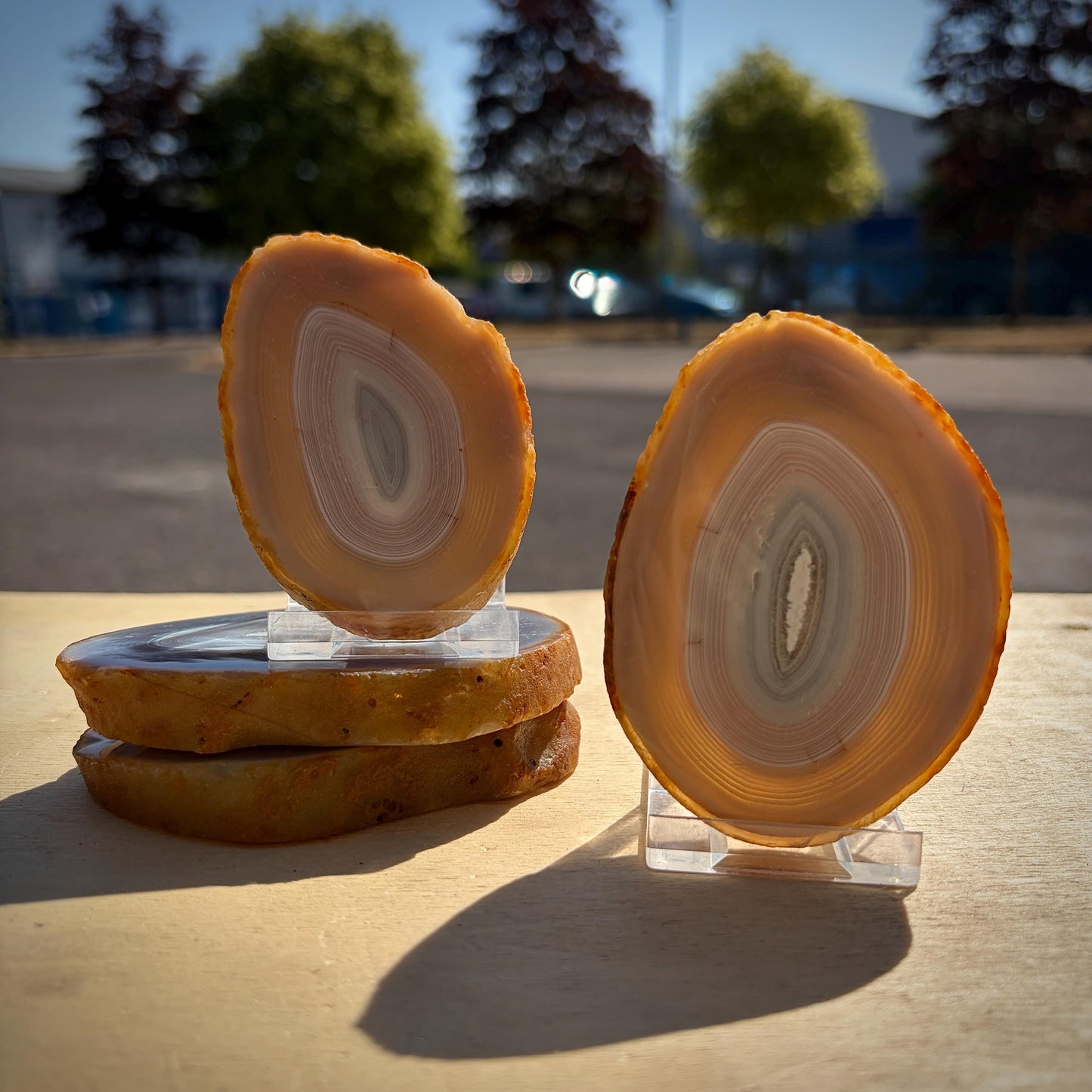Agate Crystal Slice Set of 4 | Natural Banded  | Crystal Home Decor |  462g #9