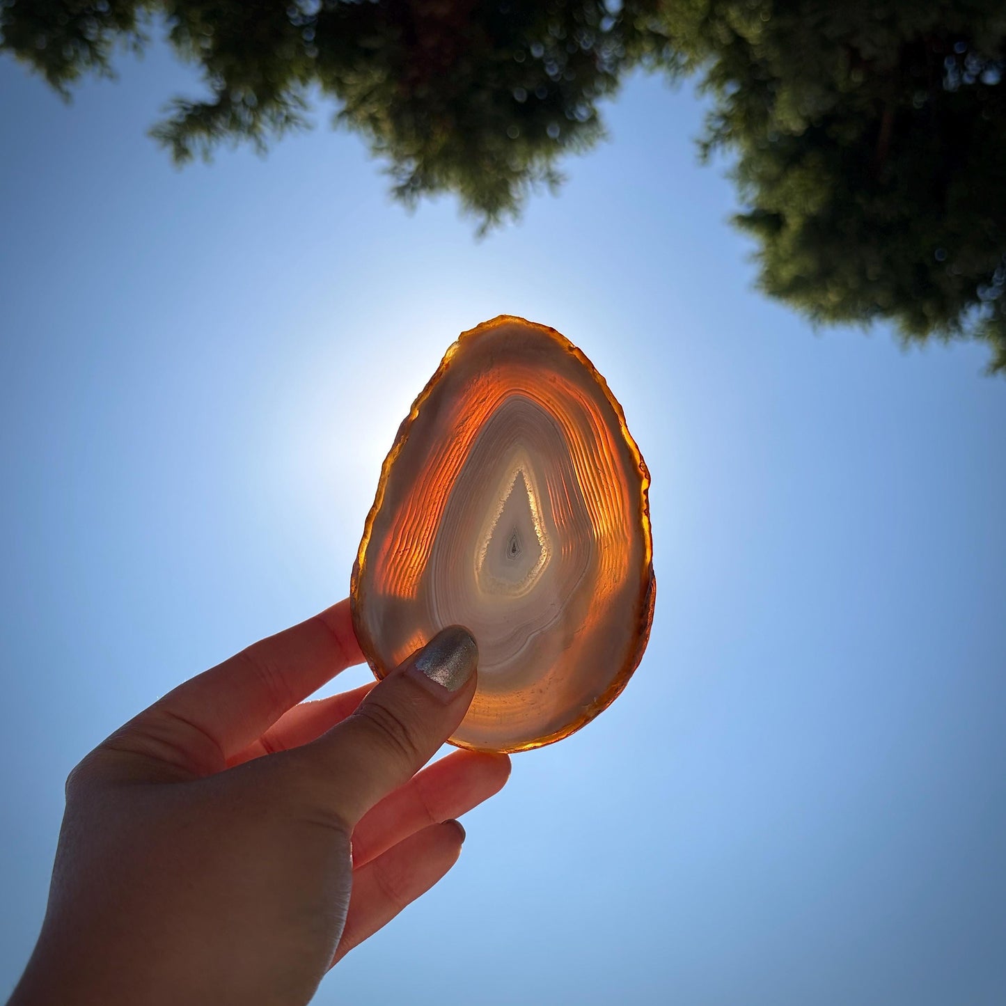 Agate Crystal Slice Set of 4 | Natural Banded  | Crystal Home Decor |  462g #9