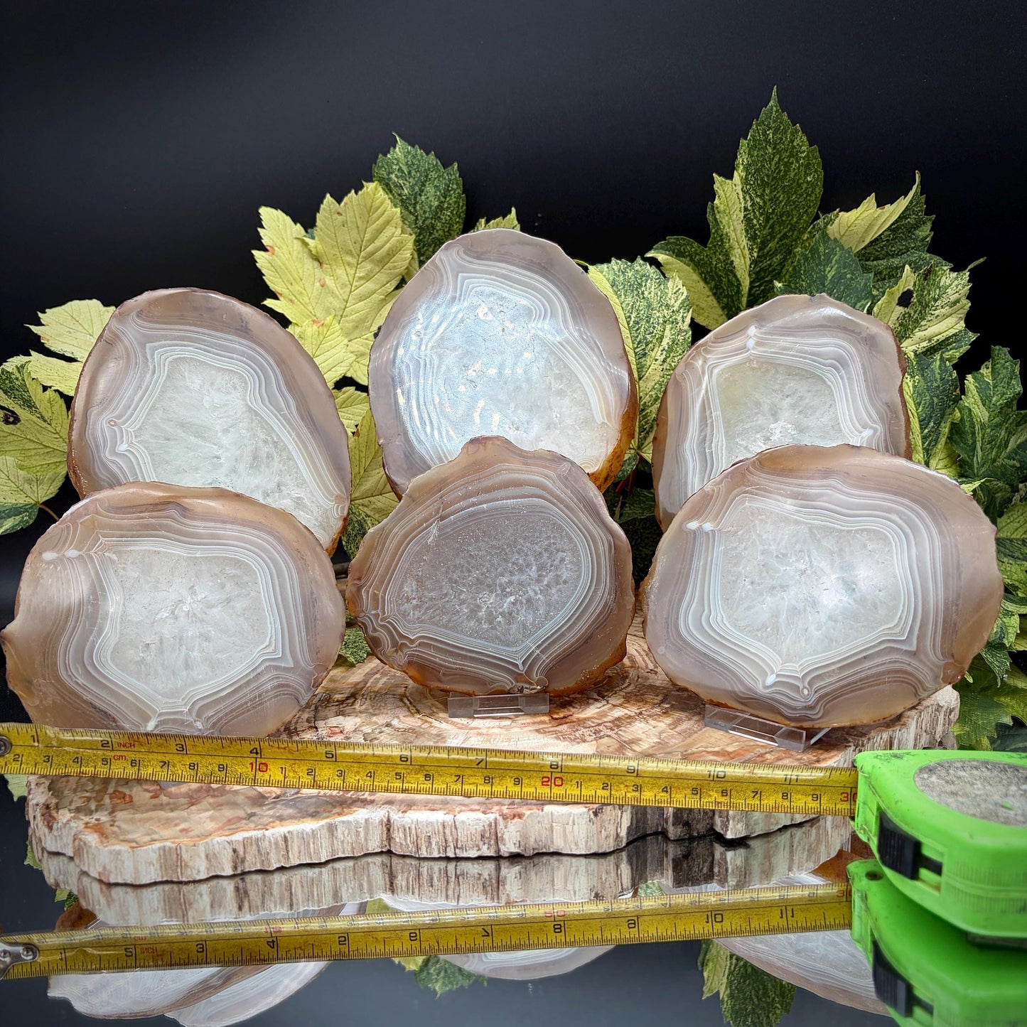 Agate Crystal Slice Set of 6 | Natural Banded  | Crystal Home Decor |  3.3kg #8