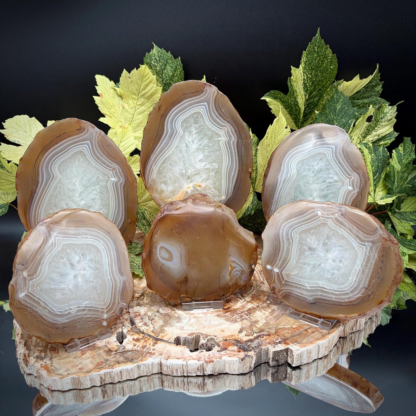 Agate Crystal Slice Set of 6 | Natural Banded  | Crystal Home Decor |  3.3kg #8