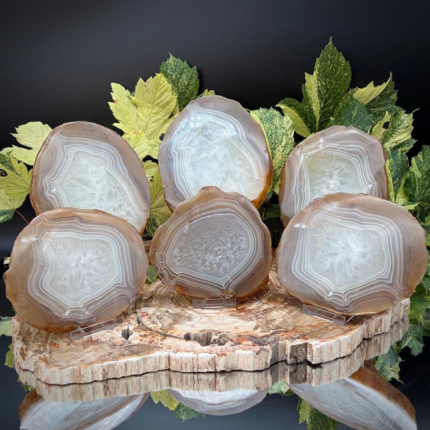 Agate Crystal Slice Set of 6 | Natural Banded  | Crystal Home Decor |  3.3kg #8