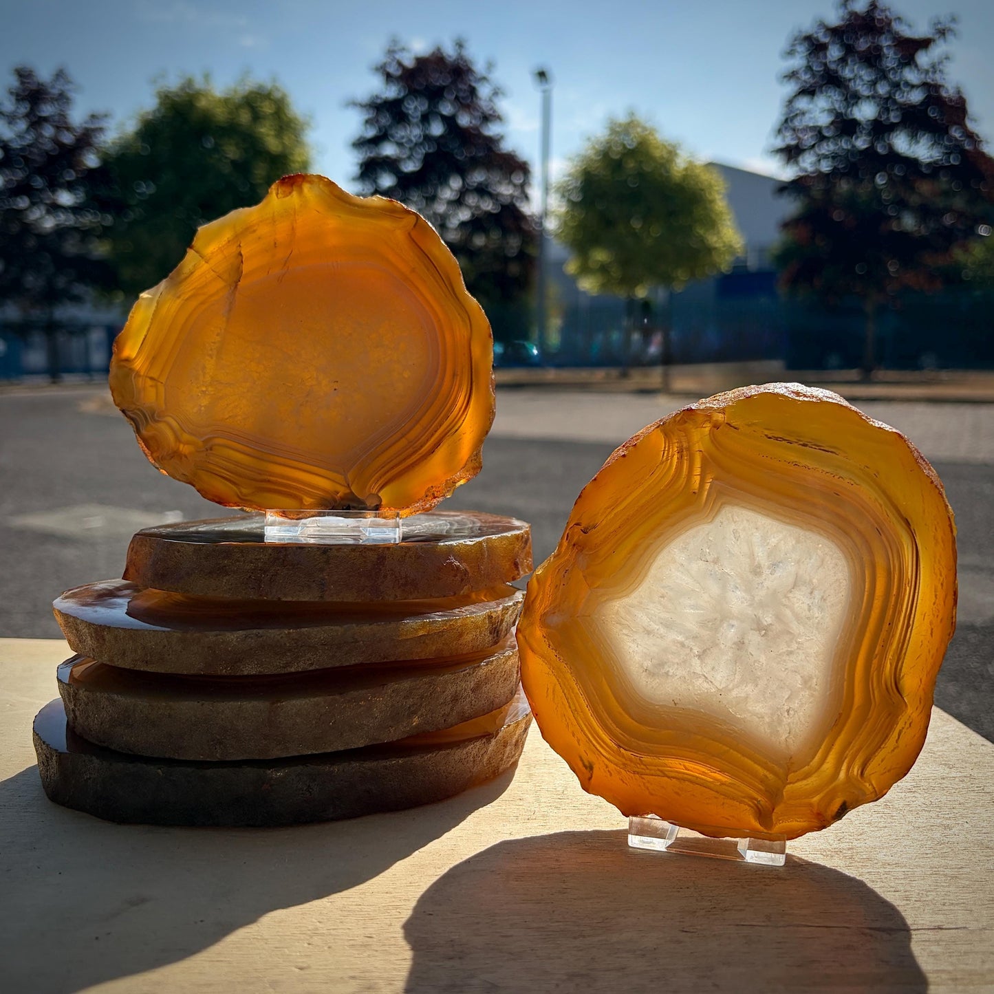 Agate Crystal Slice Set of 6 | Natural Banded  | Crystal Home Decor |  3.3kg #8