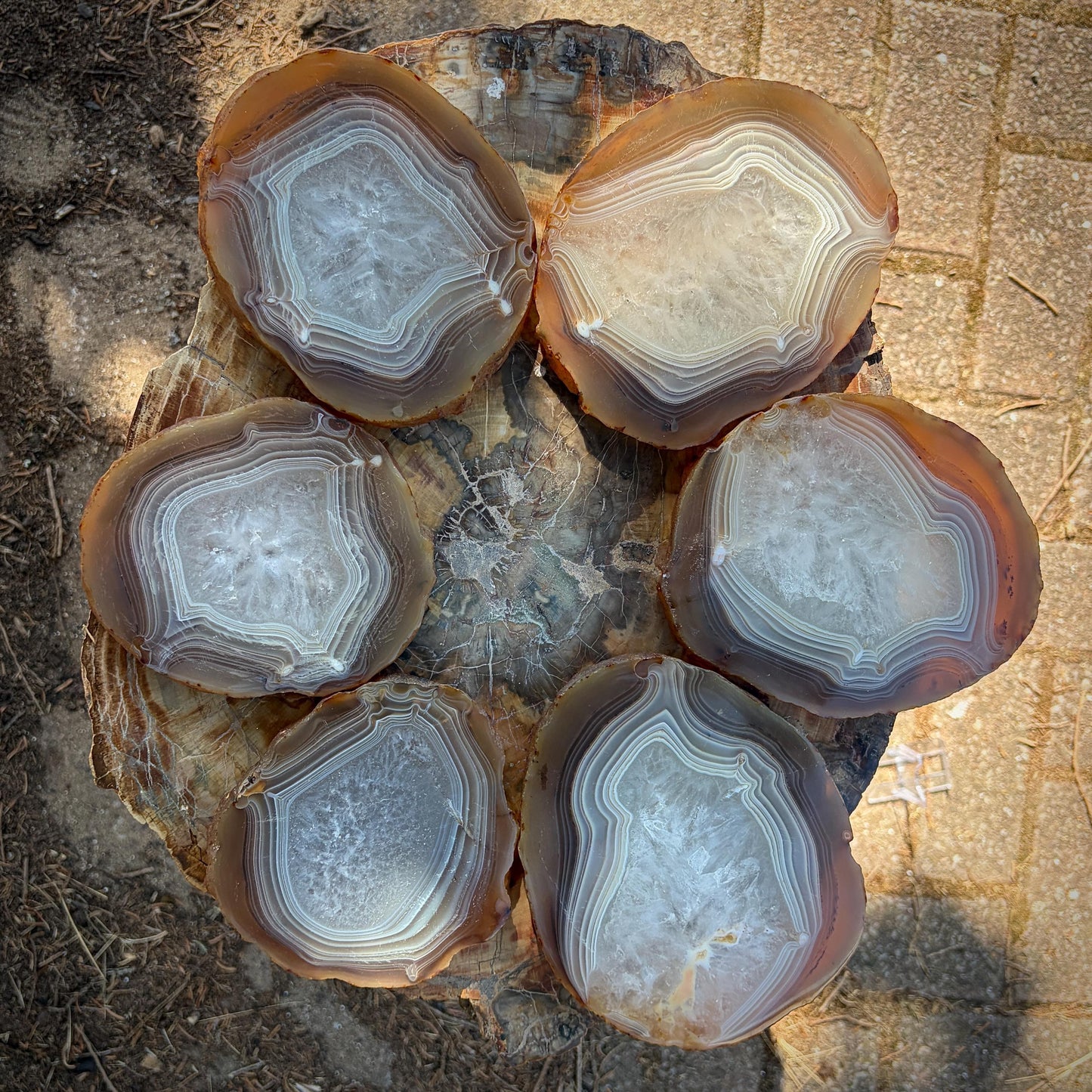 Agate Crystal Slice Set of 6 | Natural Banded  | Crystal Home Decor |  3.3kg #8