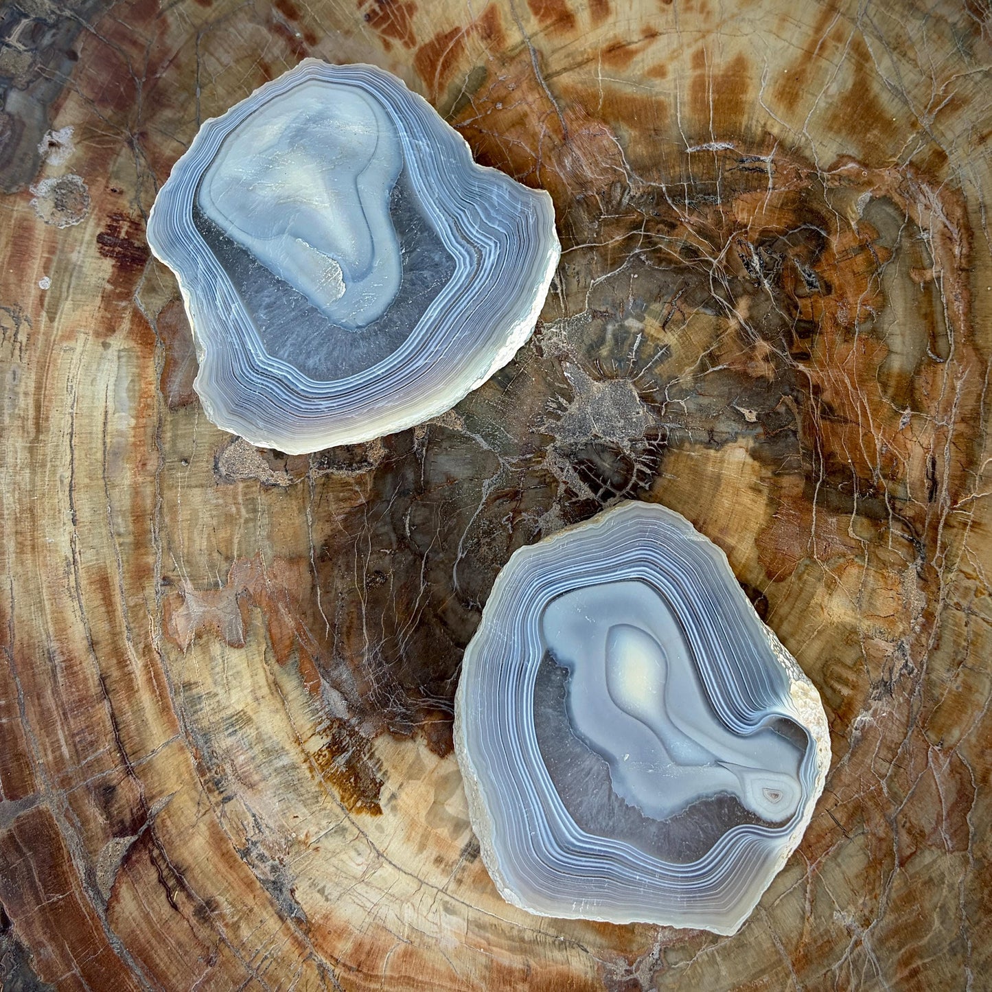 Agate Crystal Slice Set of 2 | Natural Banded  | Crystal Home Decor |  442g #7
