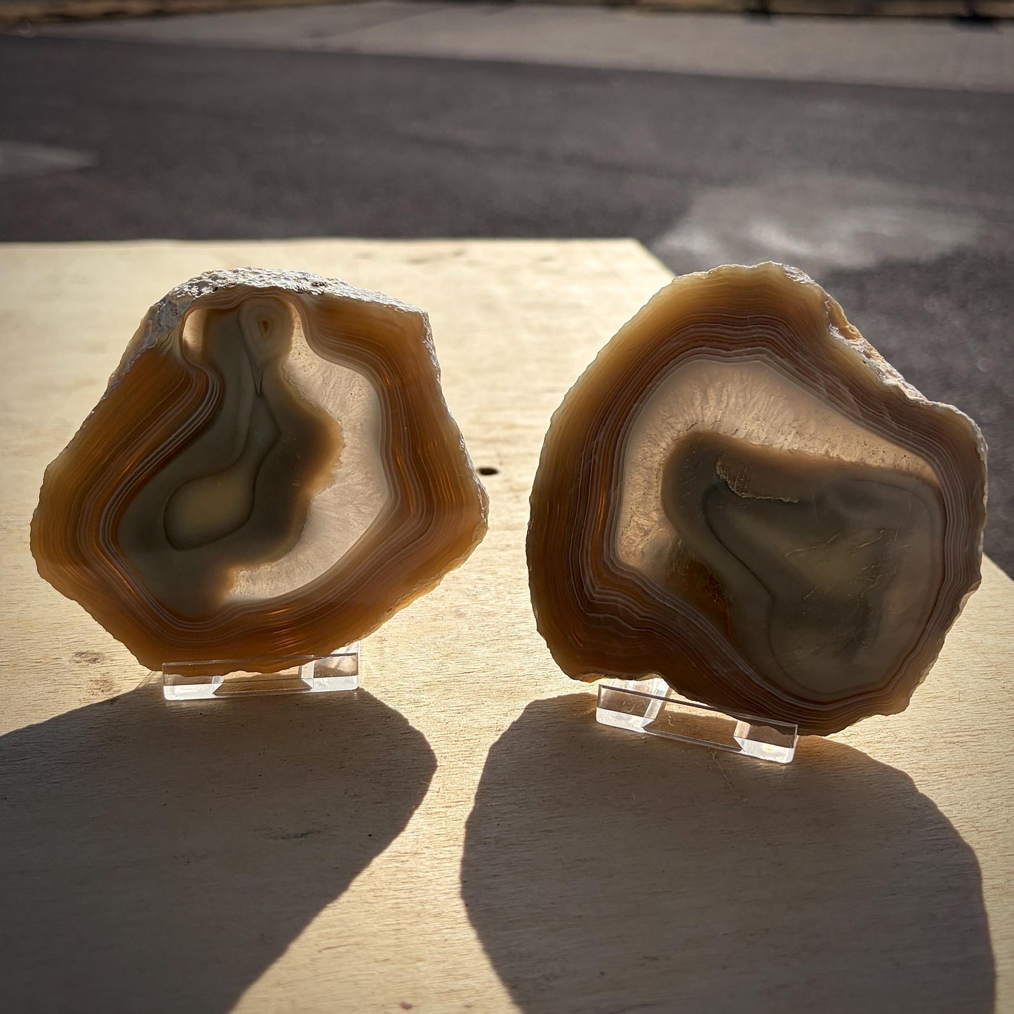 Agate Crystal Slice Set of 2 | Natural Banded  | Crystal Home Decor |  442g #7