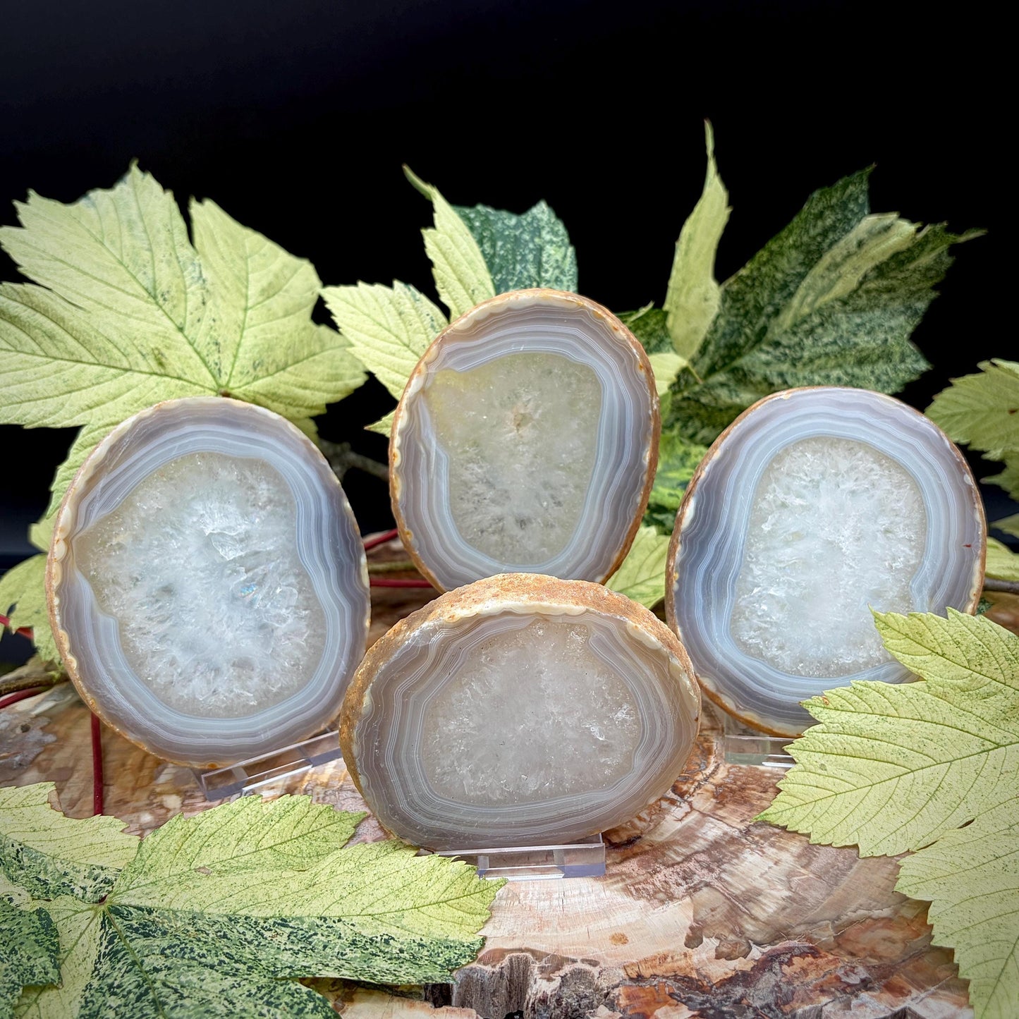 Agate Crystal Slice Set of 4 | Natural Banded  | Crystal Home Decor |  809g #6