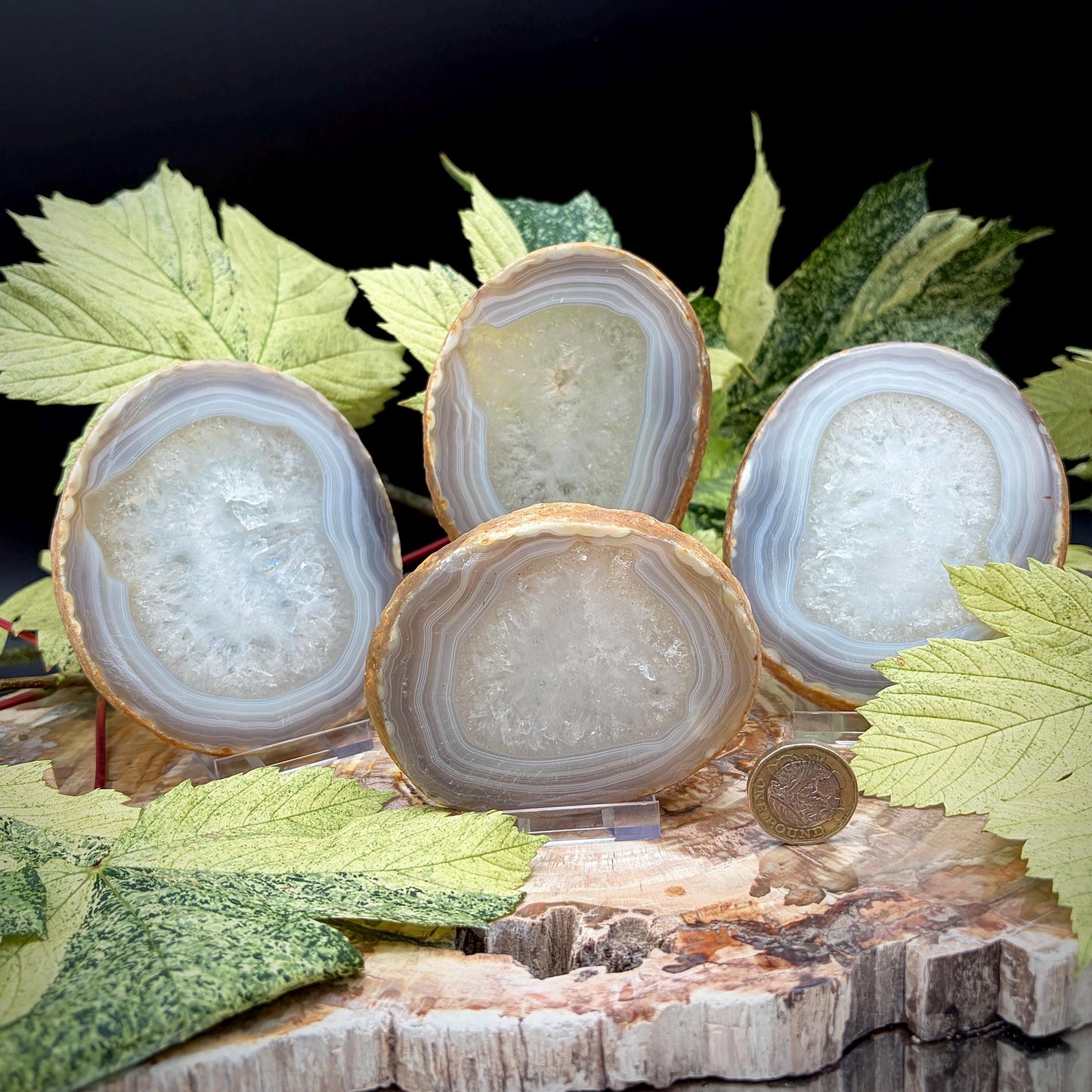 Agate Crystal Slice Set of 4 | Natural Banded  | Crystal Home Decor |  809g #6