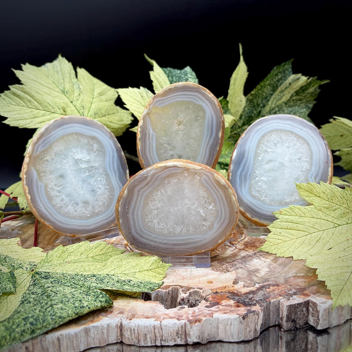 Agate Crystal Slice Set of 4 | Natural Banded  | Crystal Home Decor |  809g #6