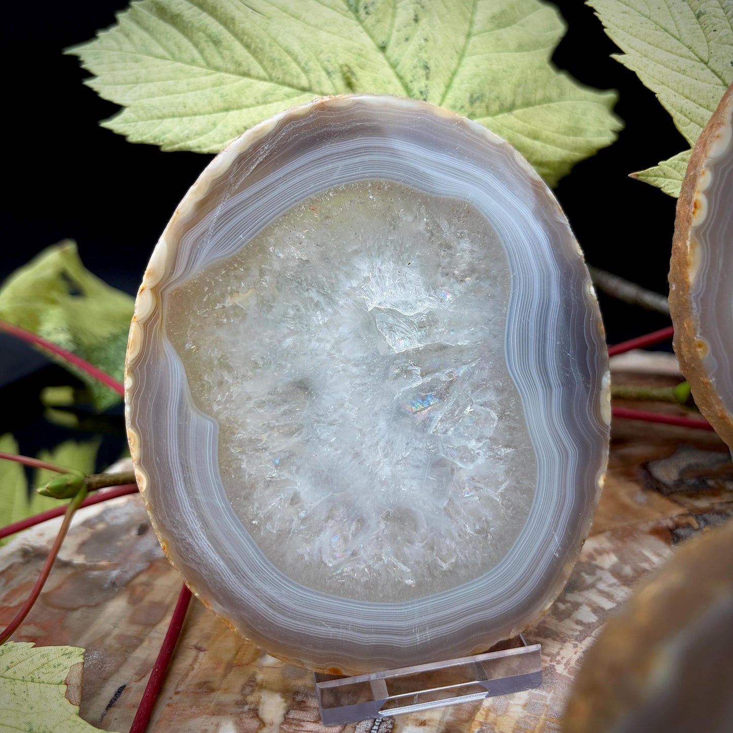 Agate Crystal Slice Set of 4 | Natural Banded  | Crystal Home Decor |  809g #6