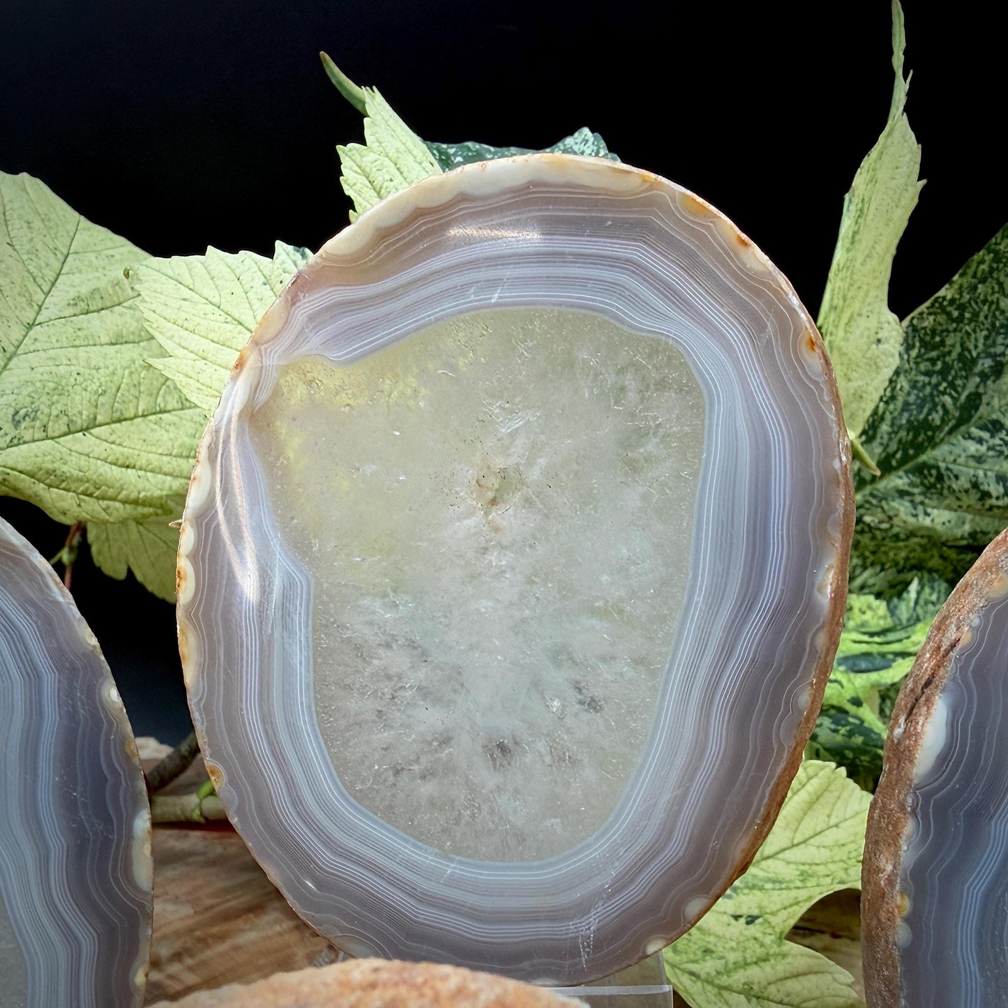 Agate Crystal Slice Set of 4 | Natural Banded  | Crystal Home Decor |  809g #6