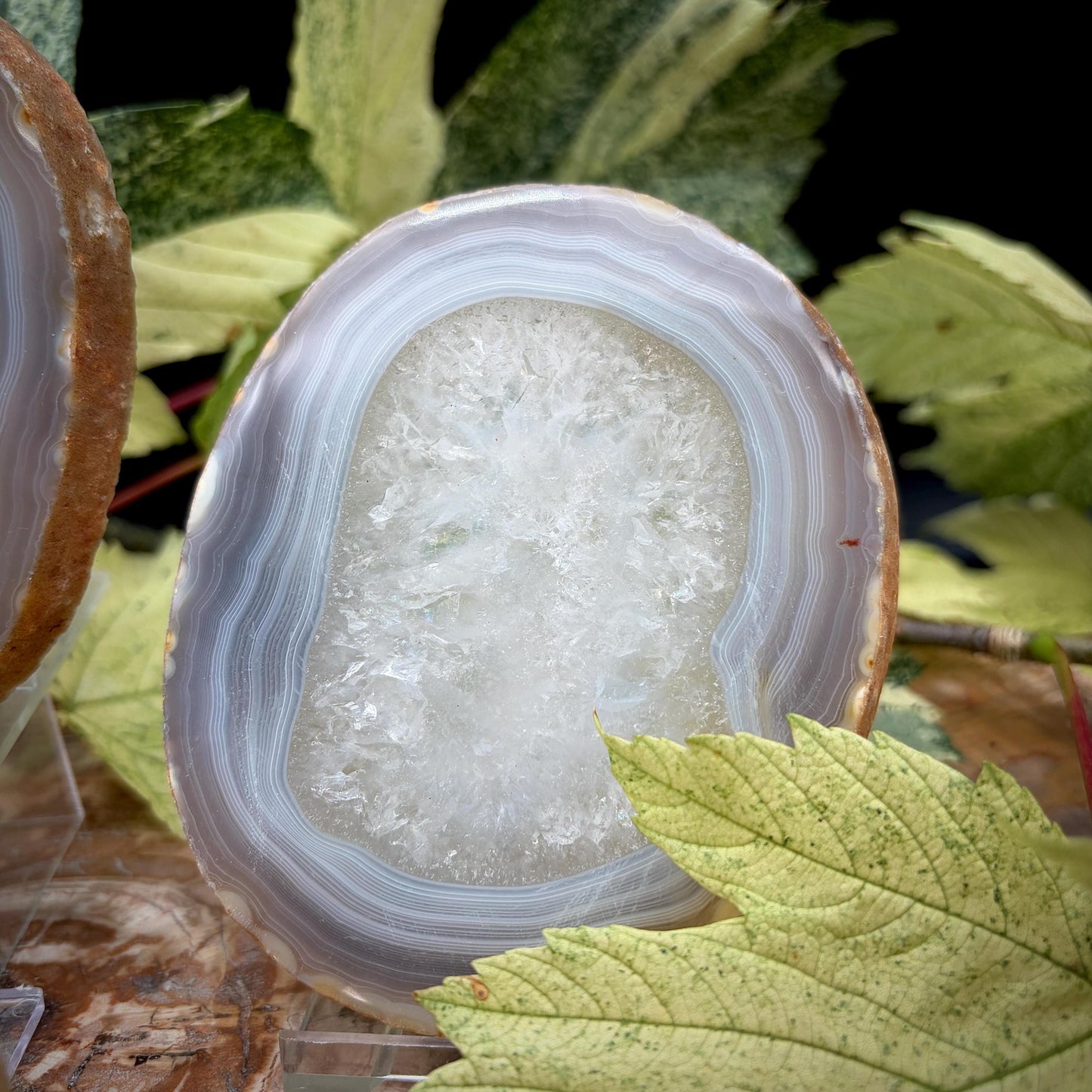 Agate Crystal Slice Set of 4 | Natural Banded  | Crystal Home Decor |  809g #6