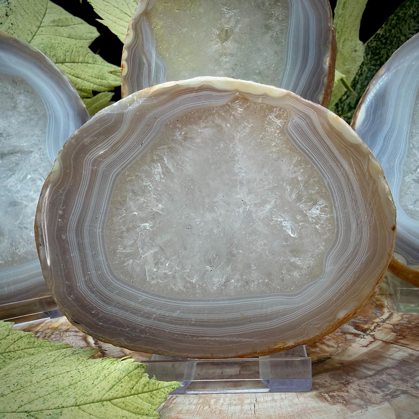 Agate Crystal Slice Set of 4 | Natural Banded  | Crystal Home Decor |  809g #6