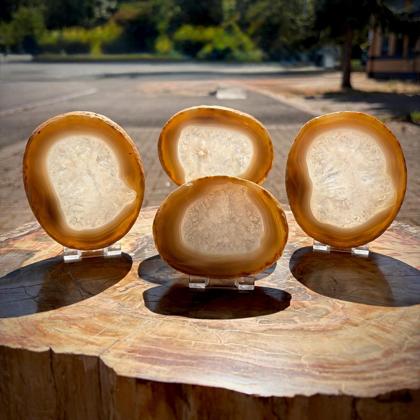 Agate Crystal Slice Set of 4 | Natural Banded  | Crystal Home Decor |  809g #6