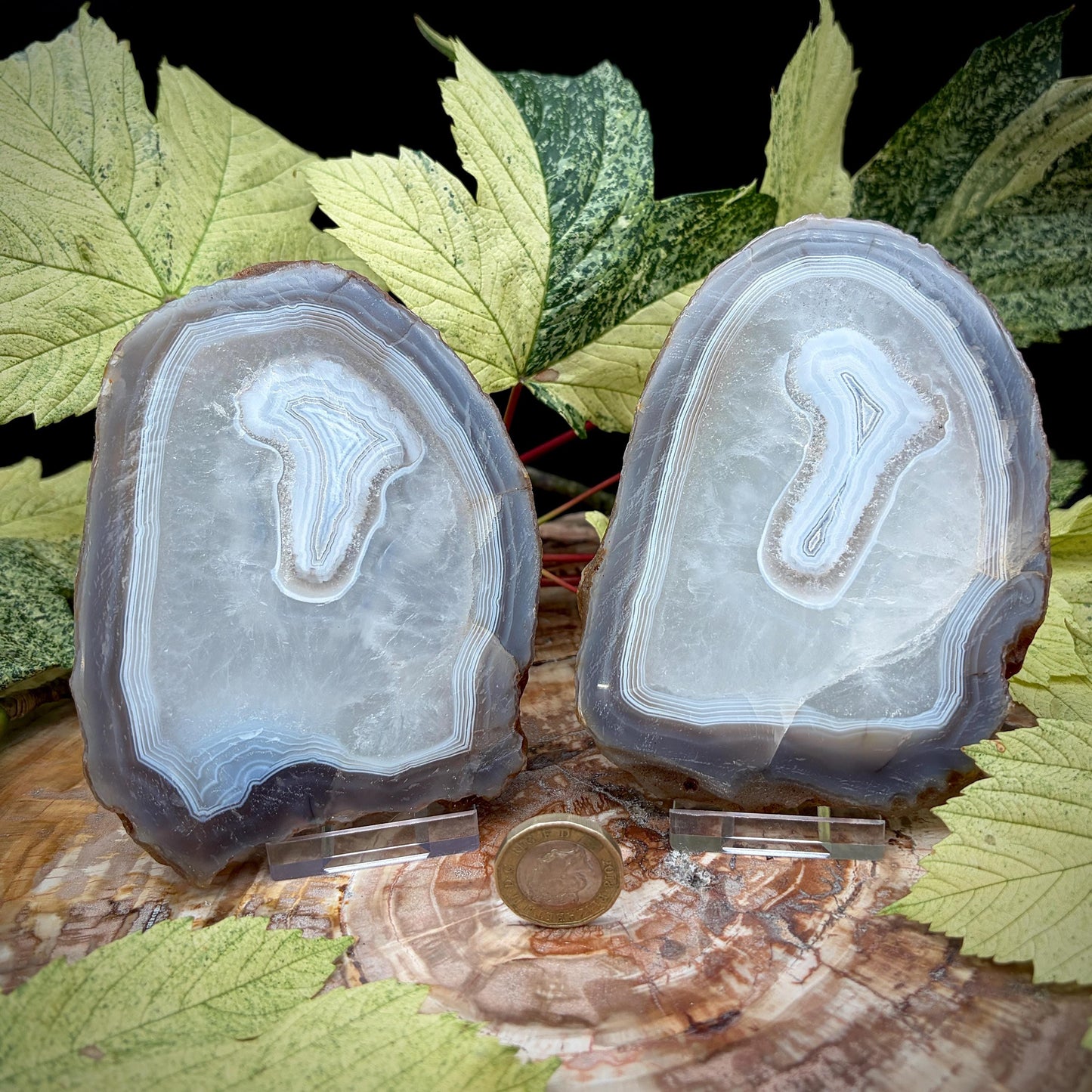 Agate Crystal Slice Set of 2 | Natural Banded  | Crystal Home Decor |  442g #5