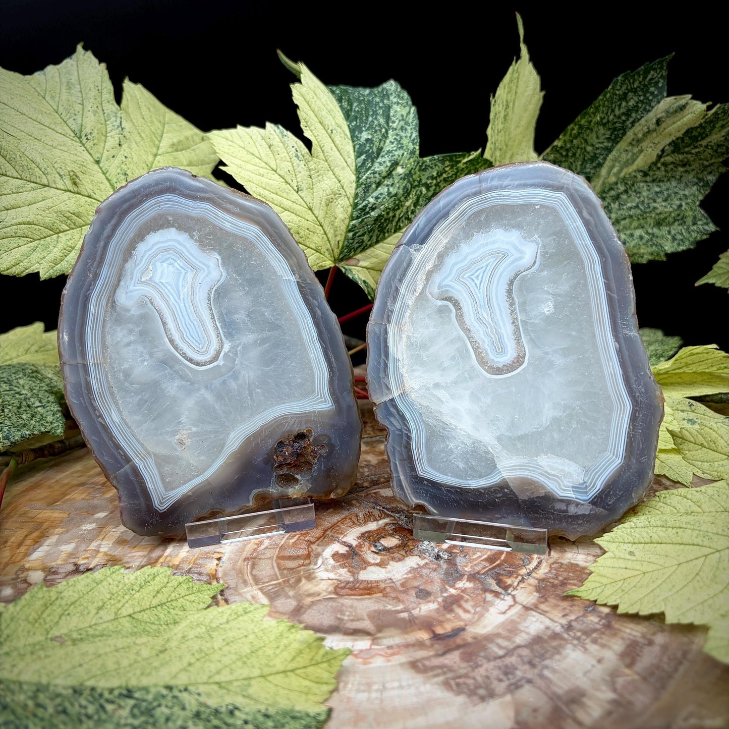 Agate Crystal Slice Set of 2 | Natural Banded  | Crystal Home Decor |  442g #5