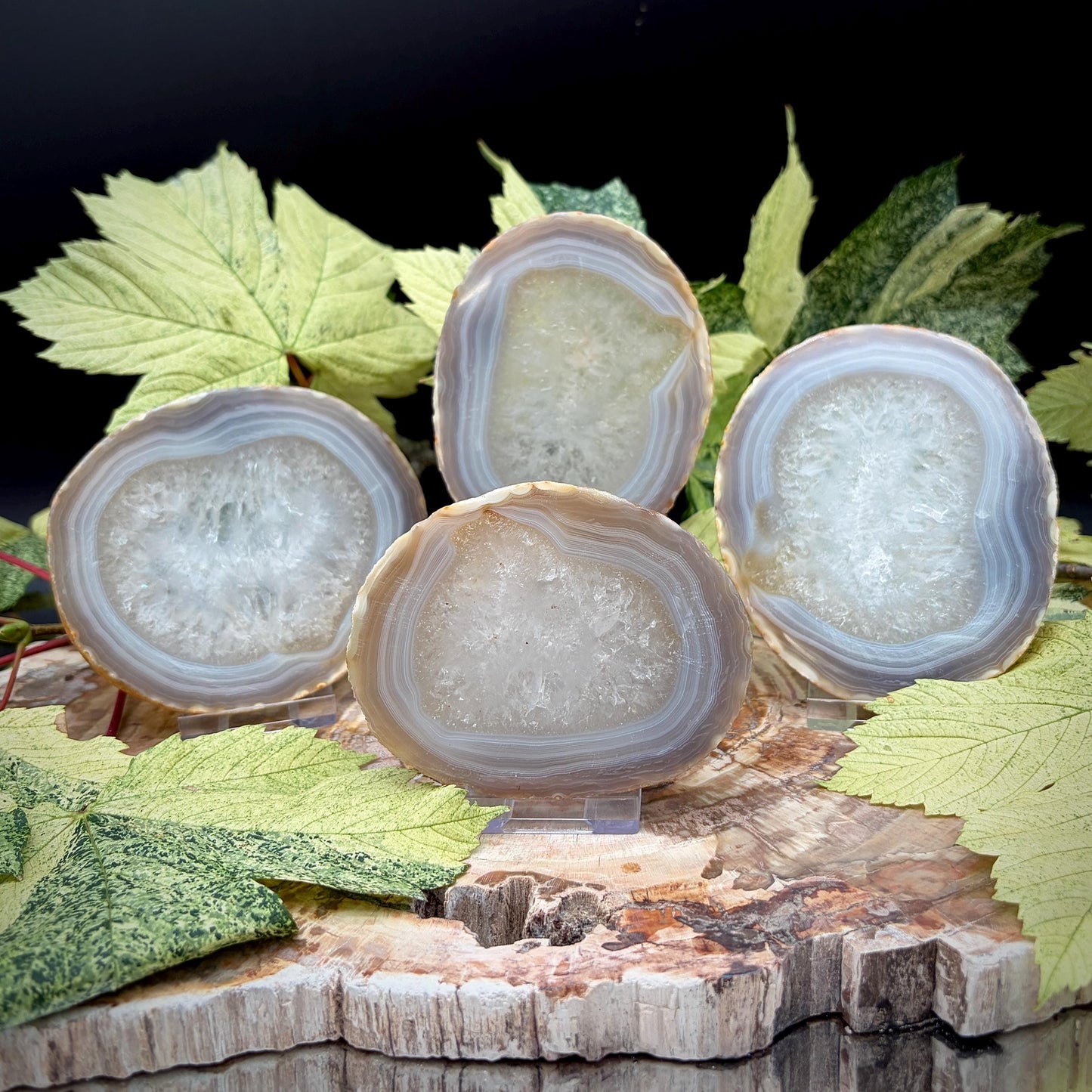 Agate Crystal Slice Set of 4 | Natural Banded  | Crystal Home Decor |  809g #6