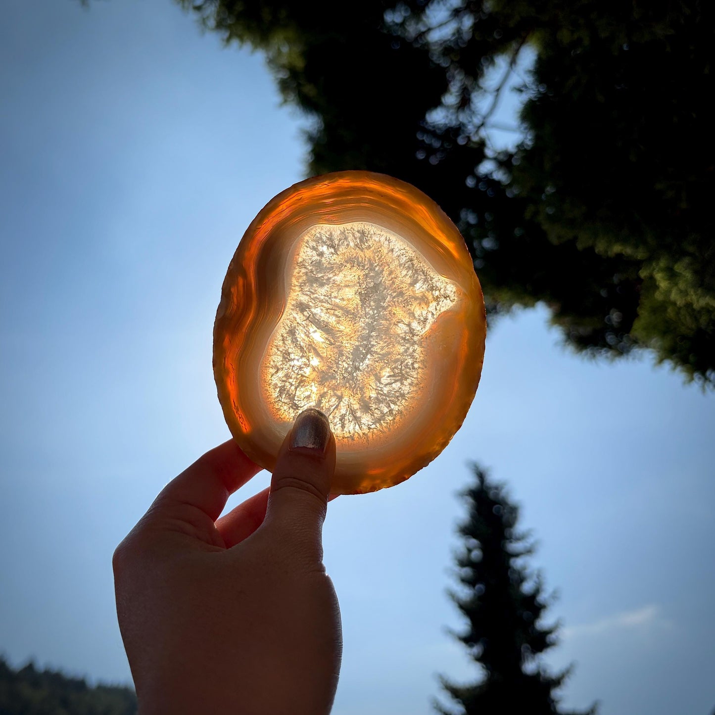 Agate Crystal Slice Set of 4 | Natural Banded  | Crystal Home Decor |  809g #6