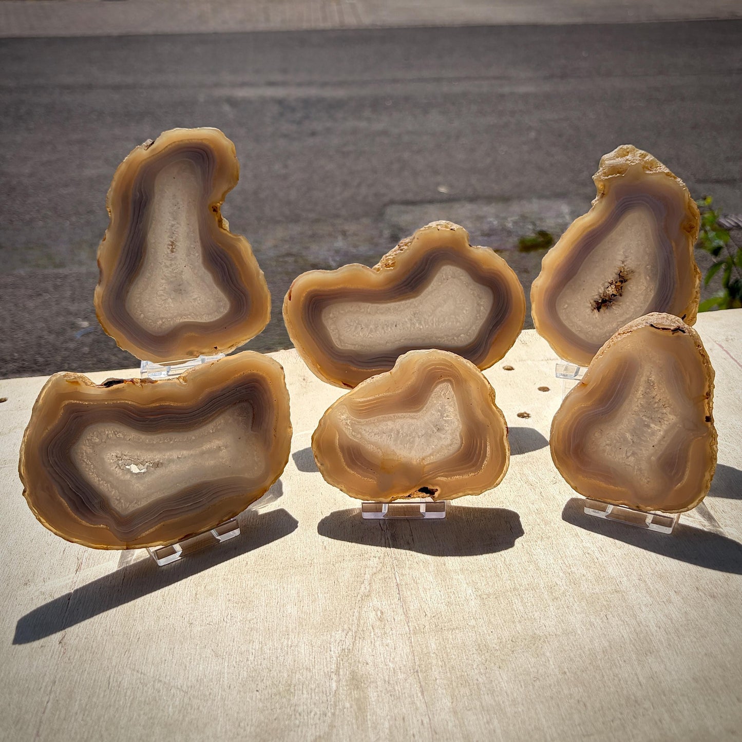 Agate Crystal Slice Set of 6 | Natural Banded  | Crystal Home Decor |  1.59kg #4
