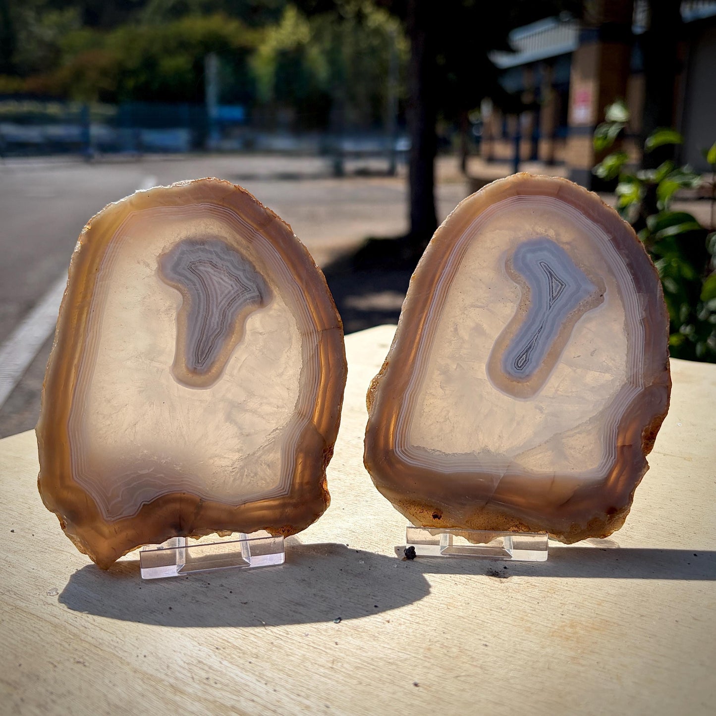Agate Crystal Slice Set of 2 | Natural Banded  | Crystal Home Decor |  442g #5