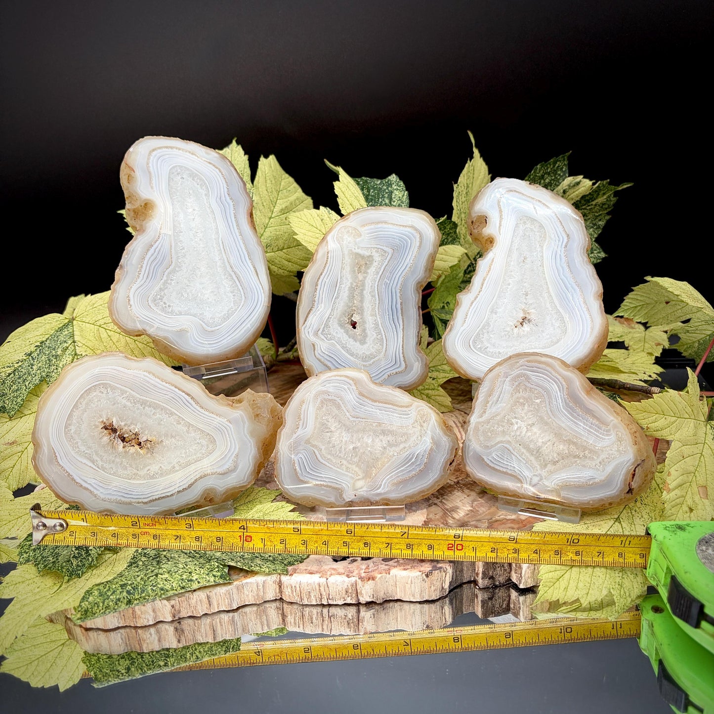 Agate Crystal Slice Set of 6 | Natural Banded  | Crystal Home Decor |  1.59kg #4