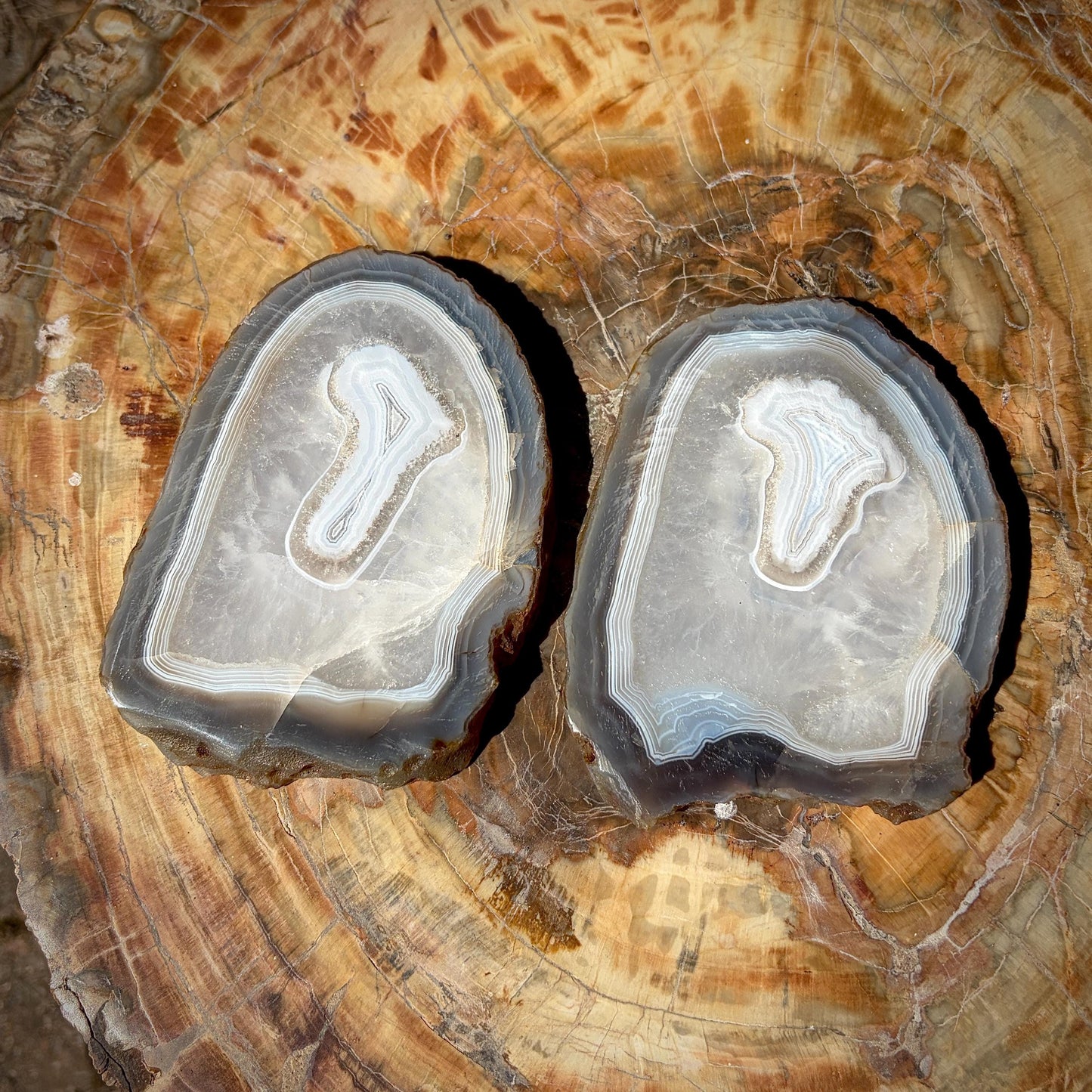 Agate Crystal Slice Set of 2 | Natural Banded  | Crystal Home Decor |  442g #5