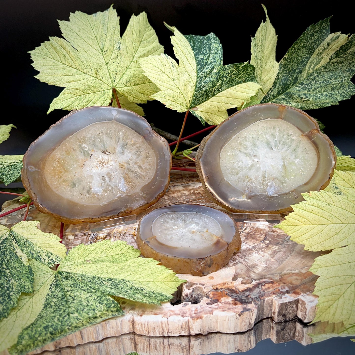 Agate Crystal Slice Set of 3 | Natural Banded  | Crystal Home Decor | 880g #3