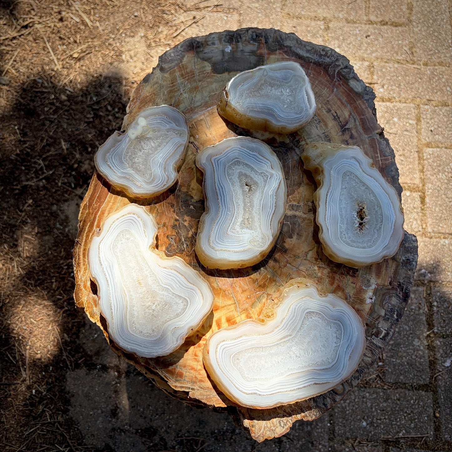 Agate Crystal Slice Set of 6 | Natural Banded  | Crystal Home Decor |  1.59kg #4