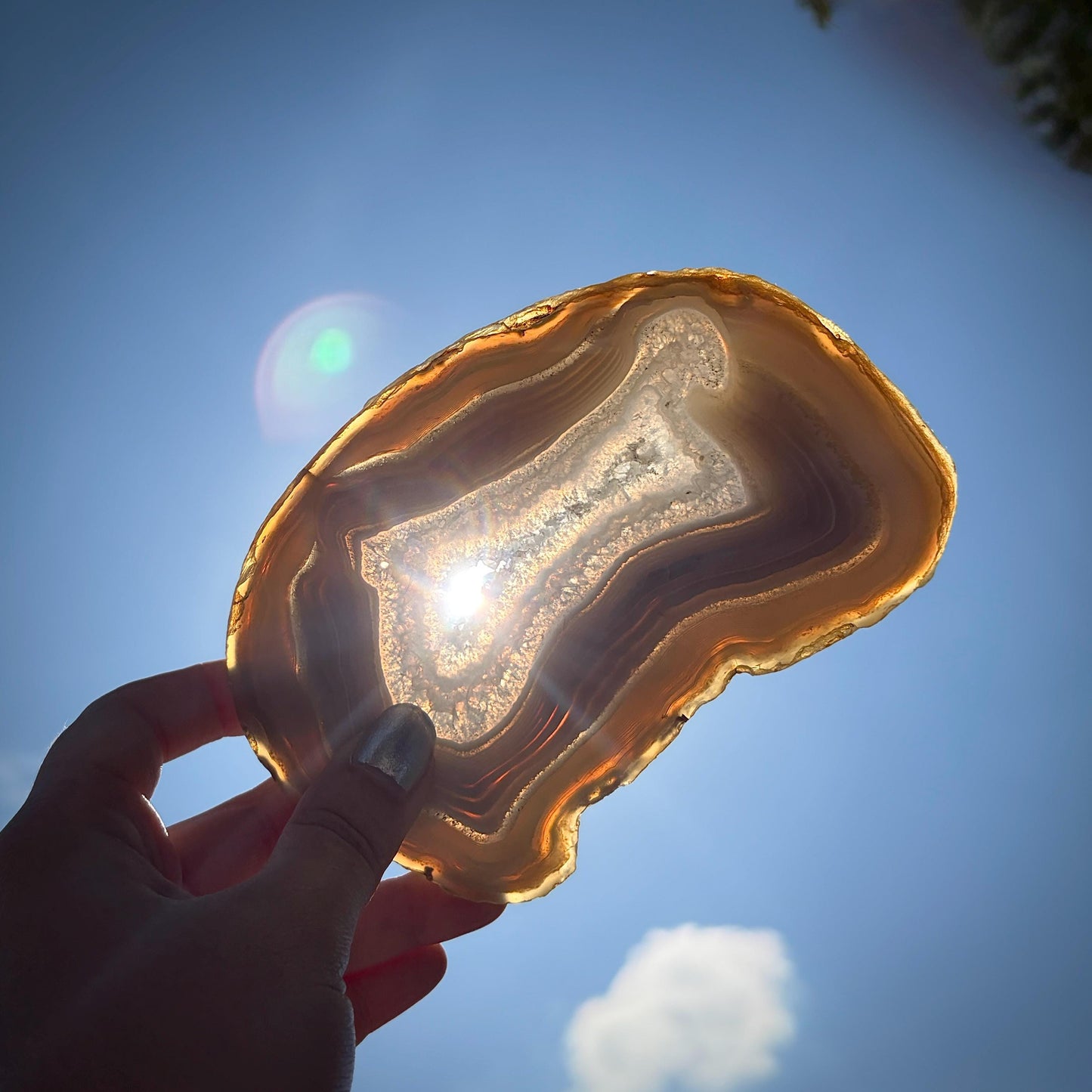 Agate Crystal Slice Set of 6 | Natural Banded  | Crystal Home Decor |  1.59kg #4