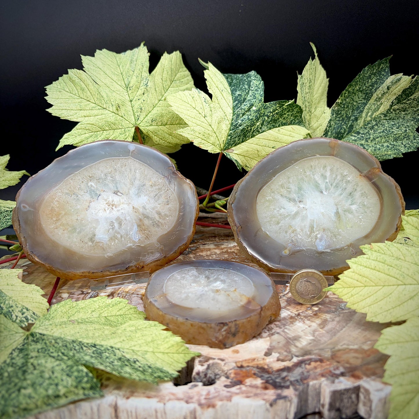 Agate Crystal Slice Set of 3 | Natural Banded  | Crystal Home Decor | 880g #3