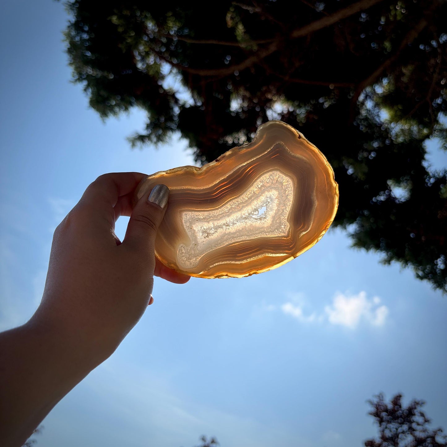 Agate Crystal Slice Set of 6 | Natural Banded  | Crystal Home Decor |  1.59kg #4
