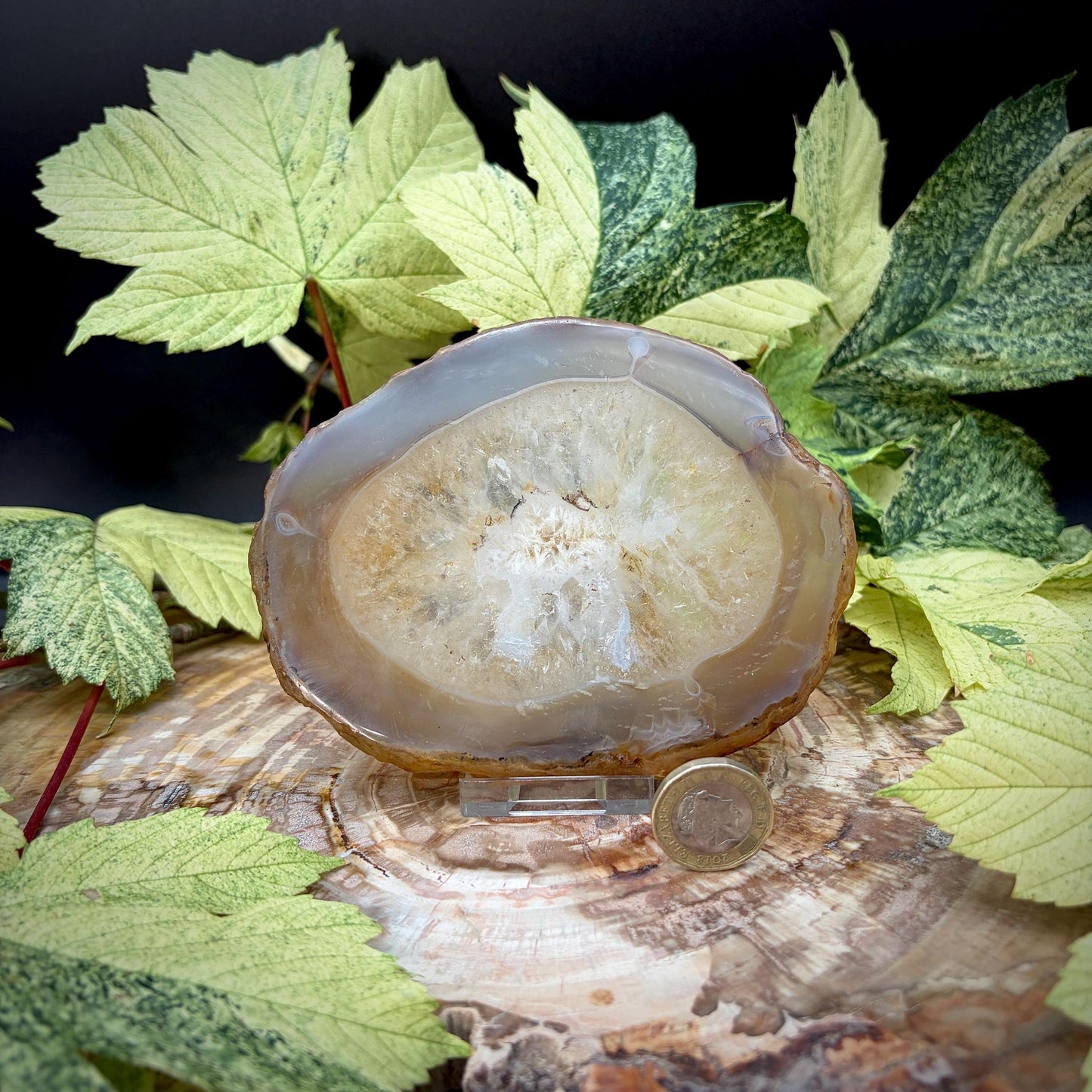 Agate Crystal Slice Set of 3 | Natural Banded  | Crystal Home Decor | 880g #3