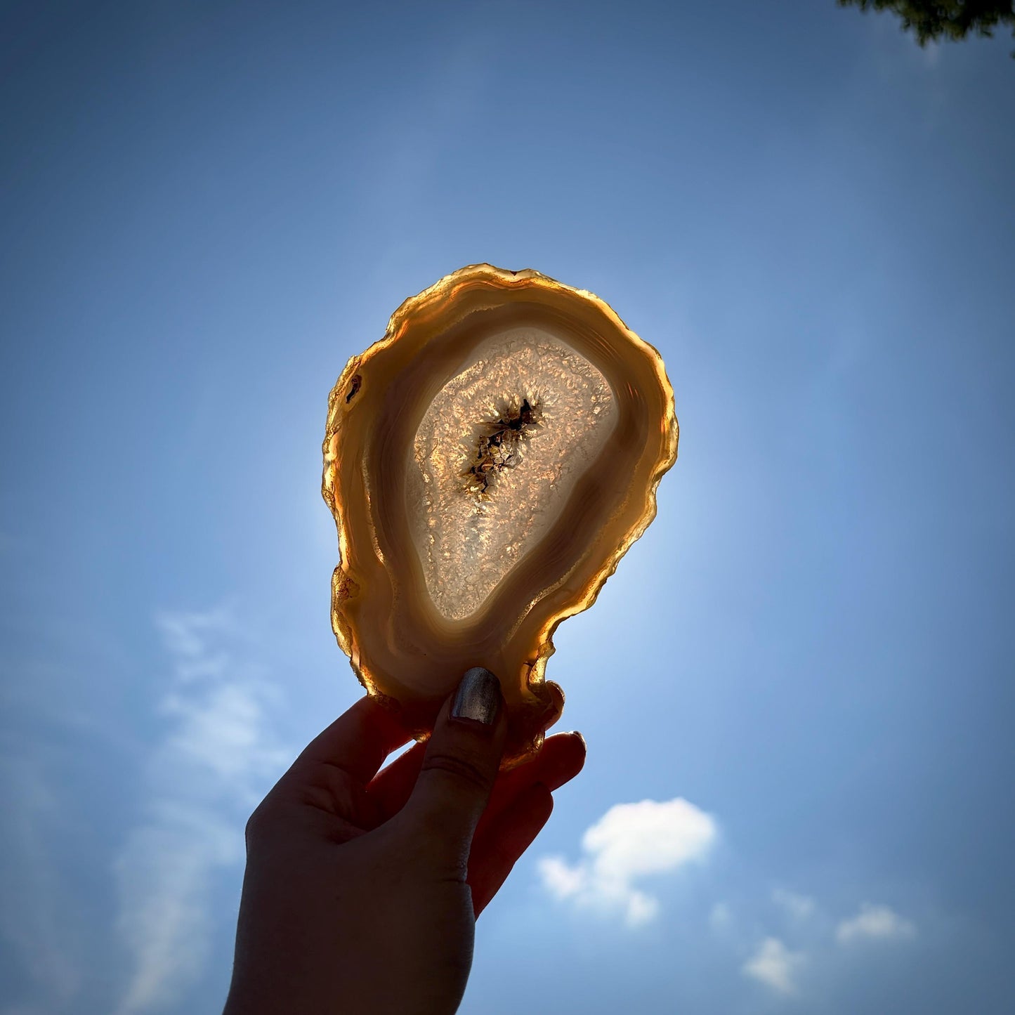 Agate Crystal Slice Set of 6 | Natural Banded  | Crystal Home Decor |  1.59kg #4