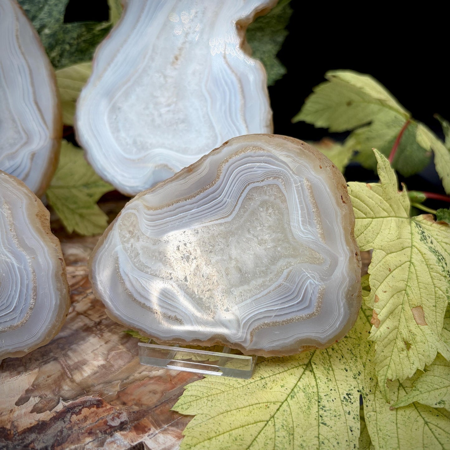 Agate Crystal Slice Set of 6 | Natural Banded  | Crystal Home Decor |  1.59kg #4
