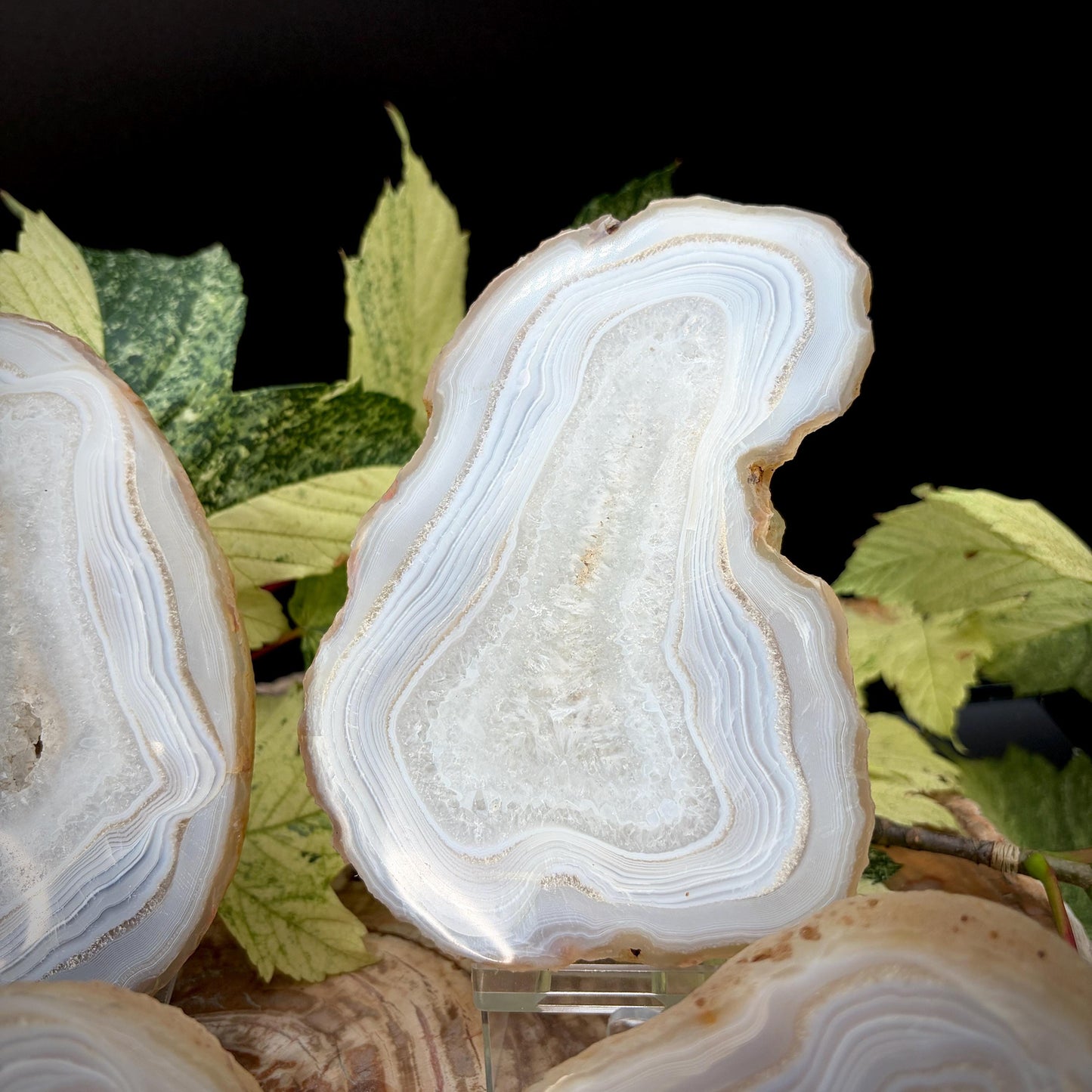 Agate Crystal Slice Set of 6 | Natural Banded  | Crystal Home Decor |  1.59kg #4