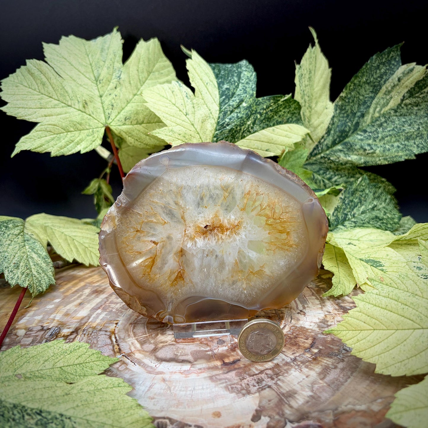 Agate Crystal Slice Set of 3 | Natural Banded  | Crystal Home Decor | 880g #3