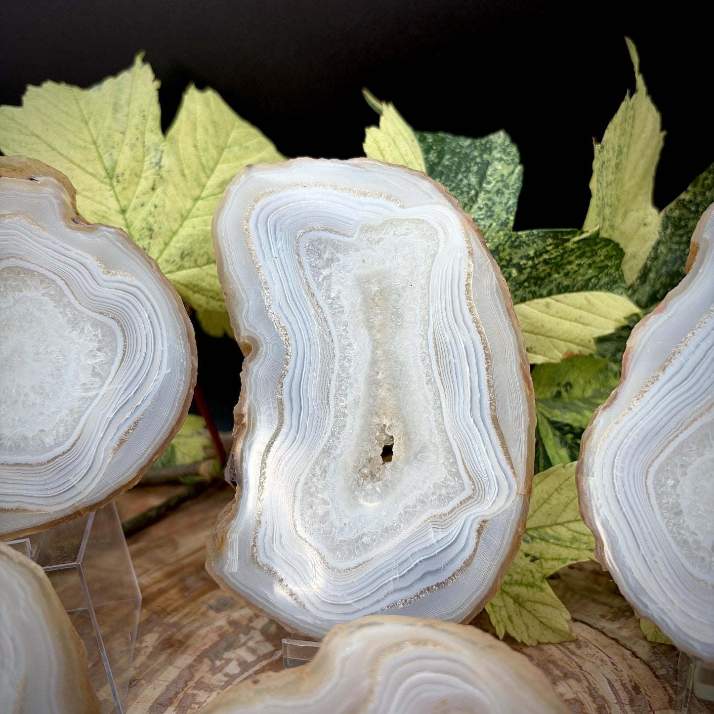 Agate Crystal Slice Set of 6 | Natural Banded  | Crystal Home Decor |  1.59kg #4