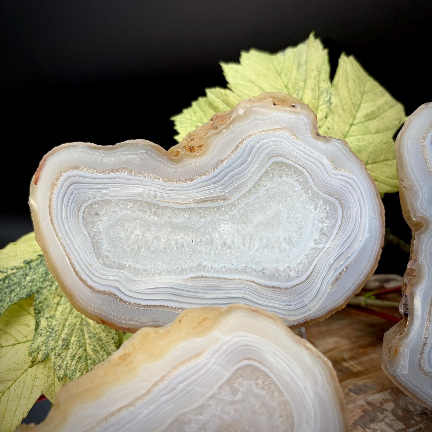 Agate Crystal Slice Set of 6 | Natural Banded  | Crystal Home Decor |  1.59kg #4