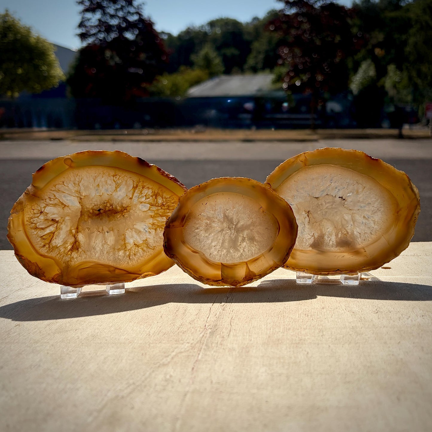 Agate Crystal Slice Set of 3 | Natural Banded  | Crystal Home Decor | 880g #3