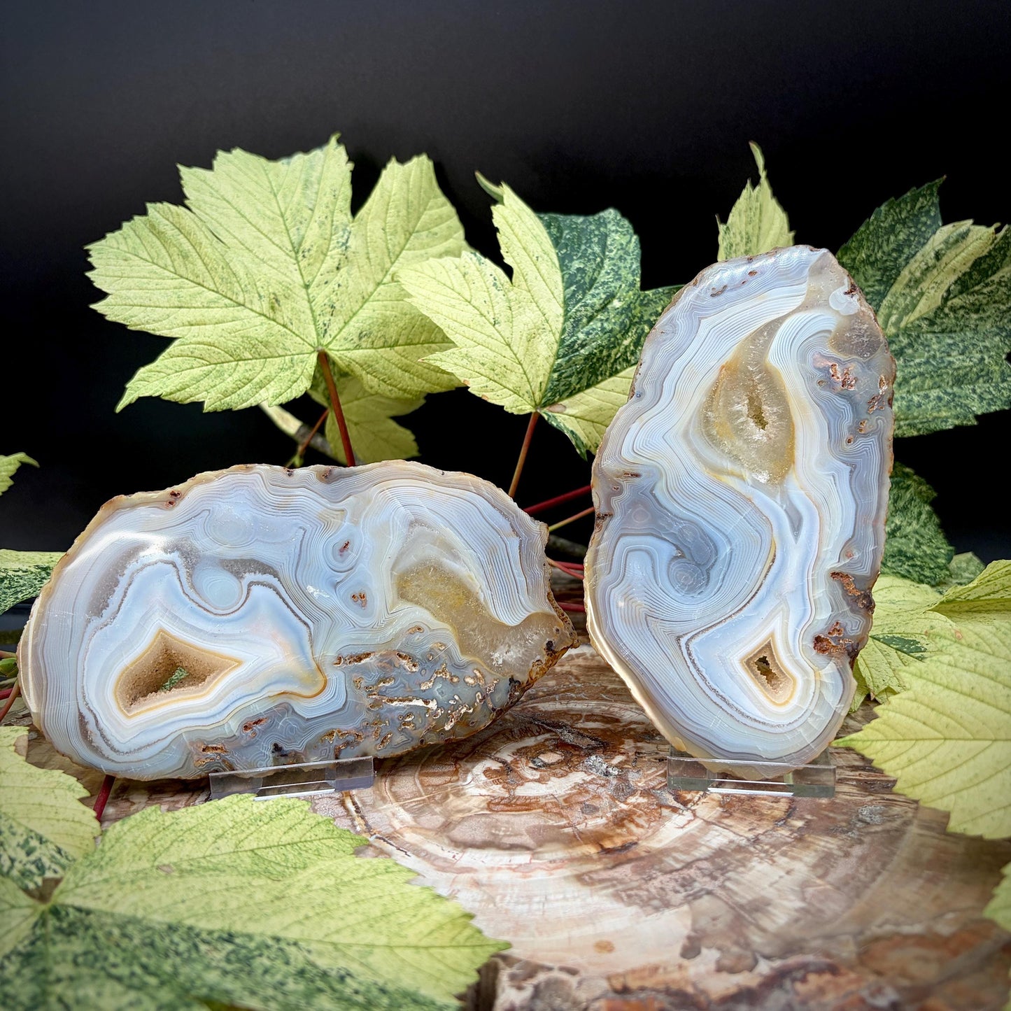 Agate Crystal Slice Set of 2 | Crystal Home Decor | 717g