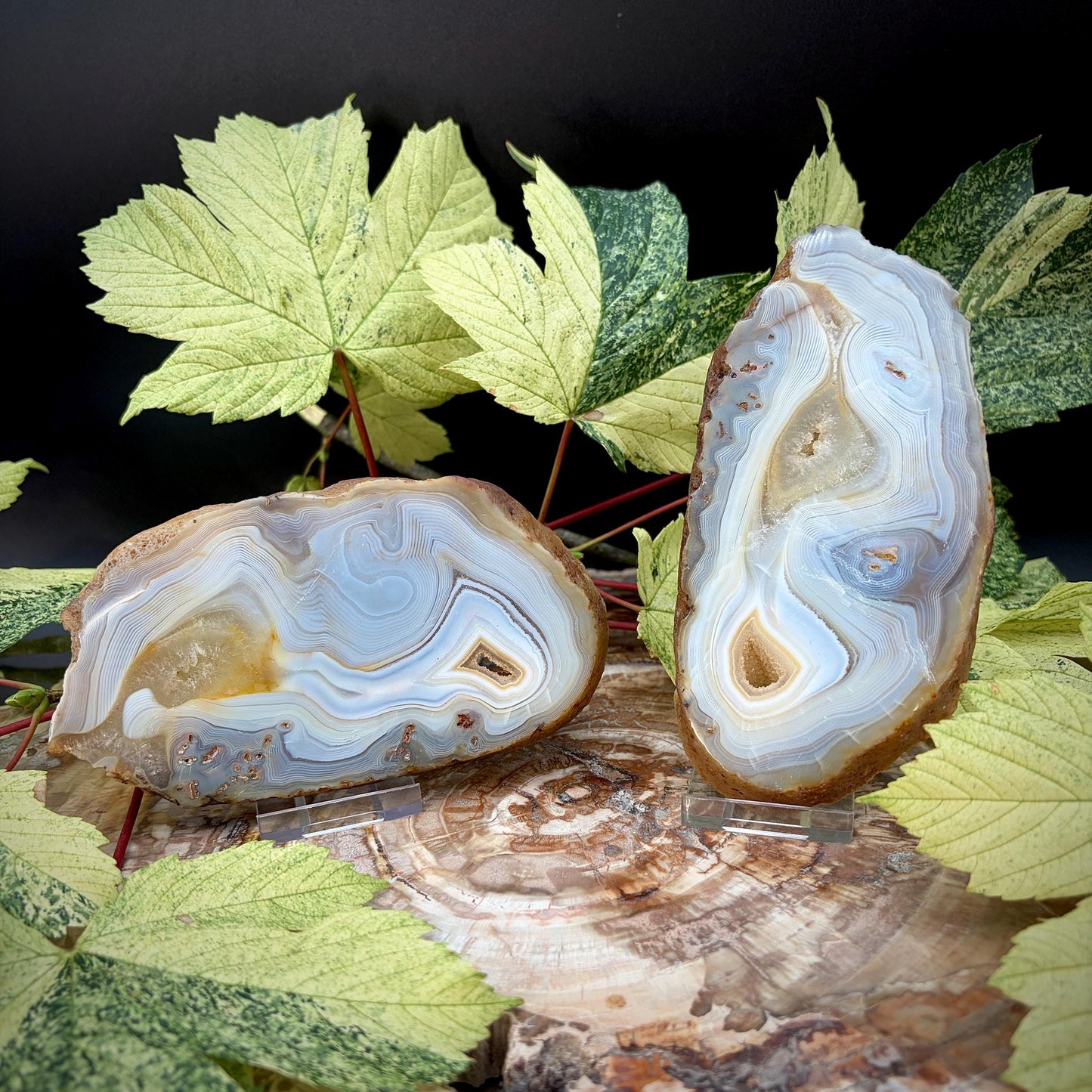 Agate Crystal Slice Set of 2 | Crystal Home Decor | 717g