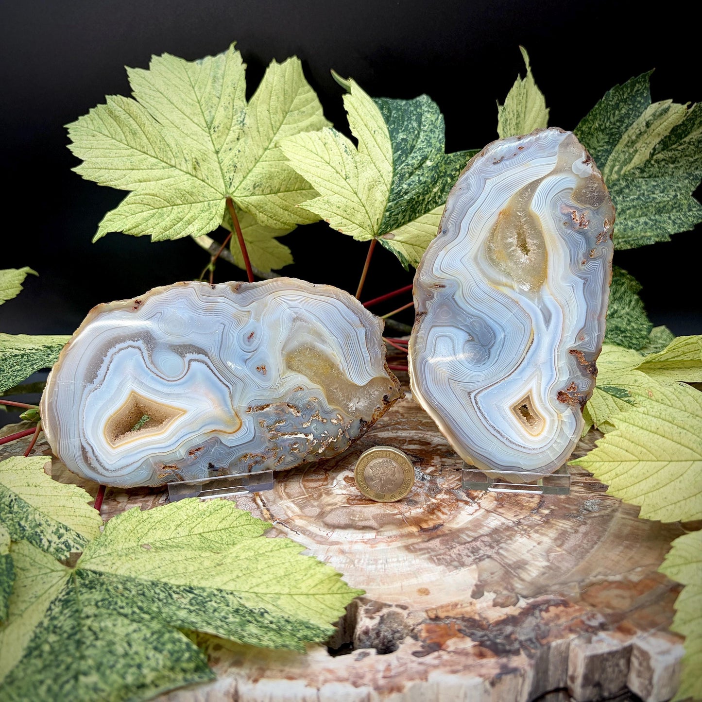 Agate Crystal Slice Set of 2 | Crystal Home Decor | 717g