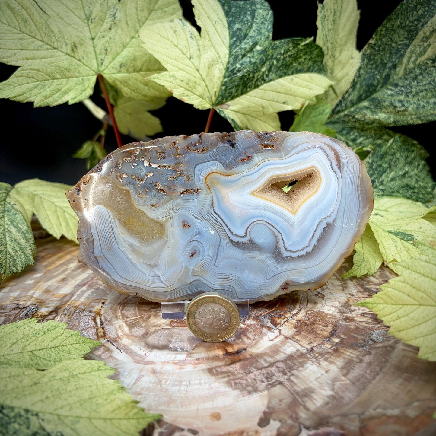 Agate Crystal Slice Set of 2 | Crystal Home Decor | 717g