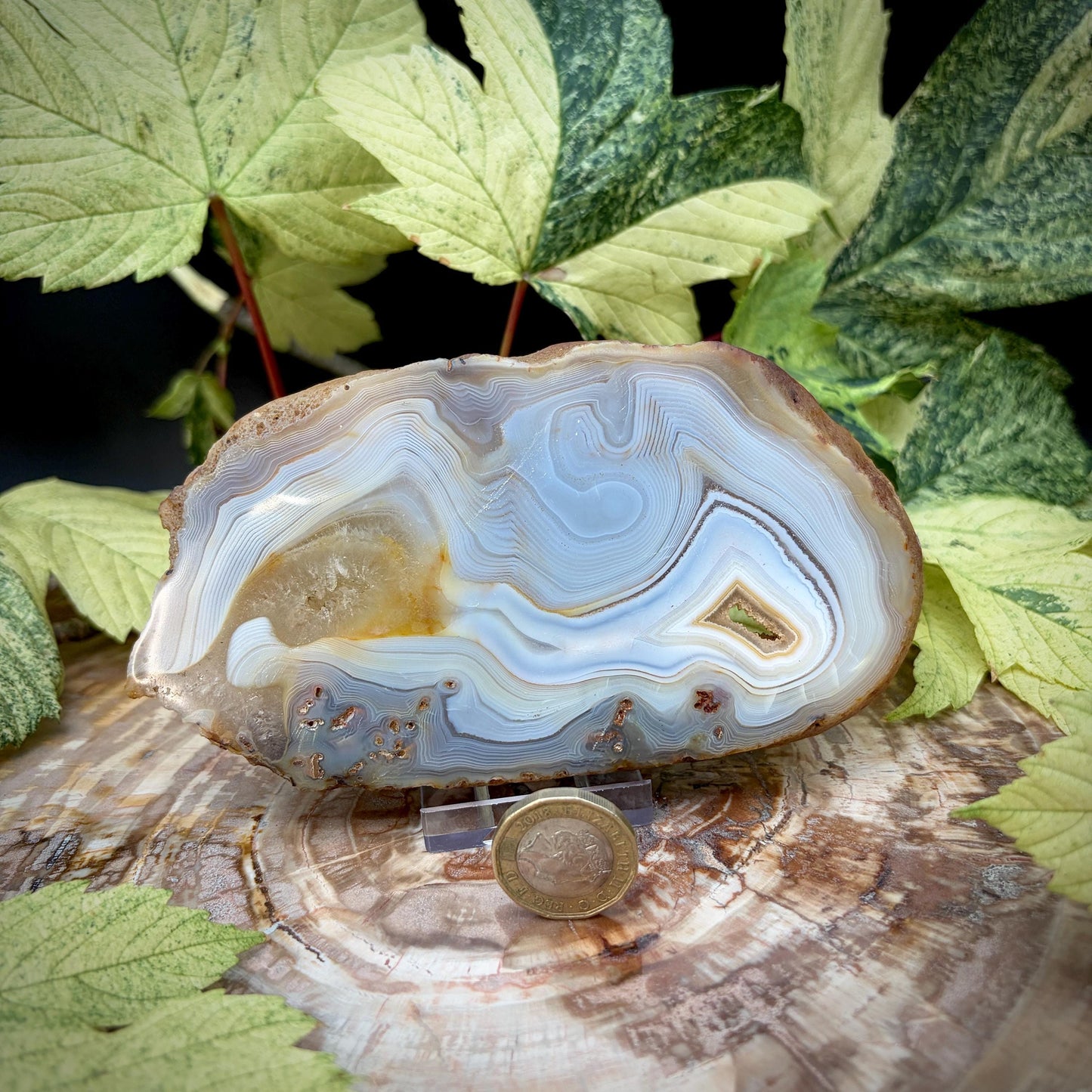 Agate Crystal Slice Set of 2 | Crystal Home Decor | 717g