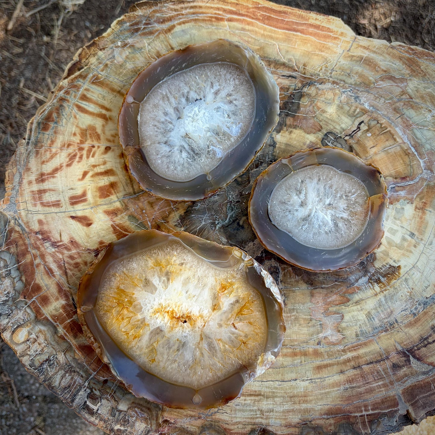 Agate Crystal Slice Set of 3 | Natural Banded  | Crystal Home Decor | 880g #3