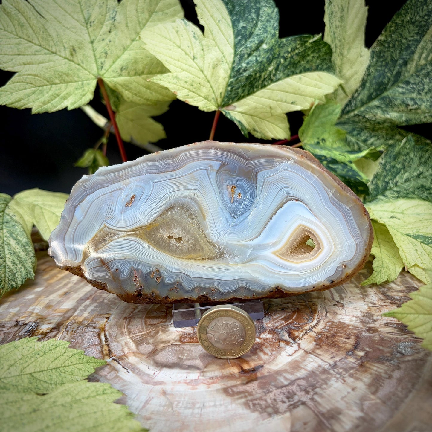 Agate Crystal Slice Set of 2 | Crystal Home Decor | 717g