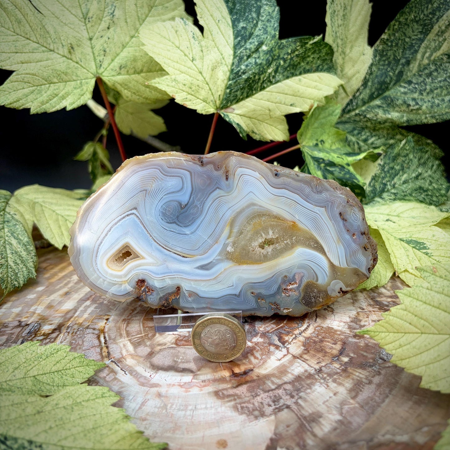Agate Crystal Slice Set of 2 | Crystal Home Decor | 717g
