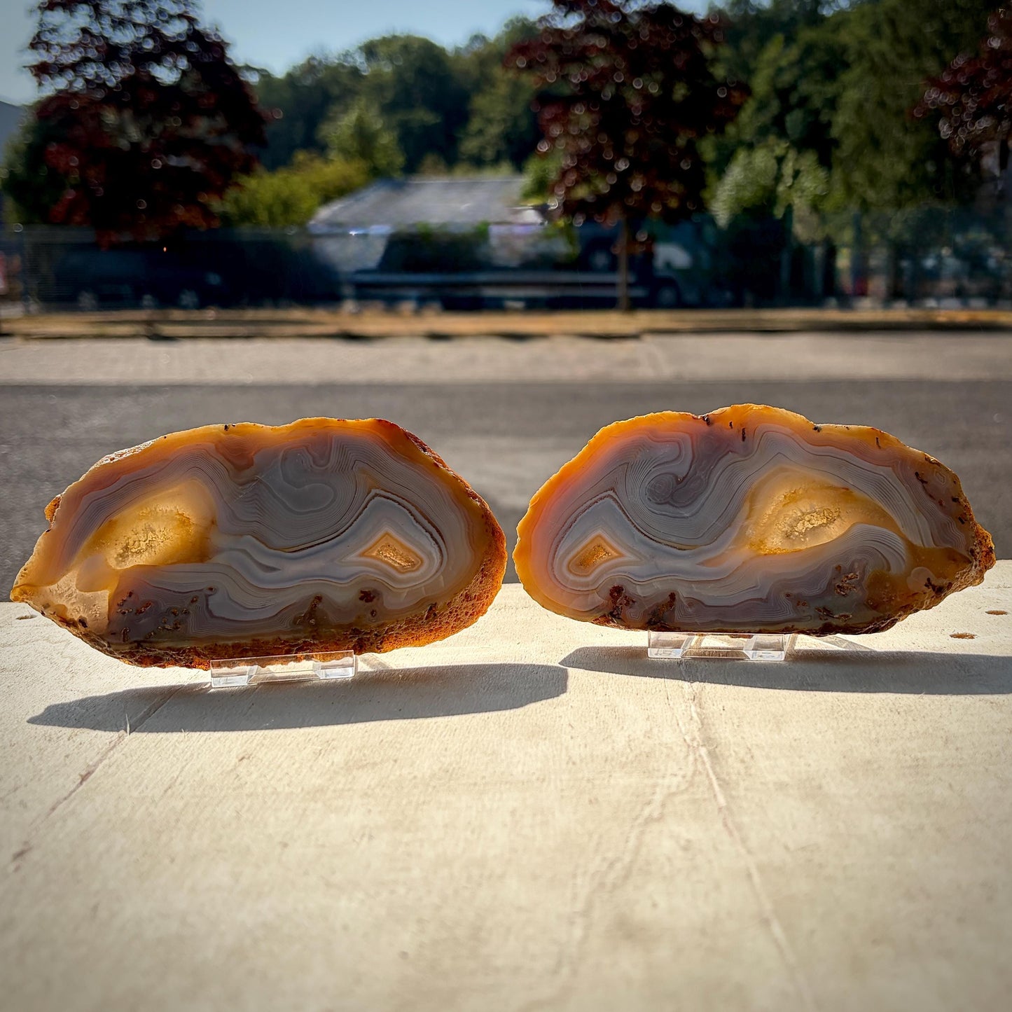 Agate Crystal Slice Set of 2 | Crystal Home Decor | 717g